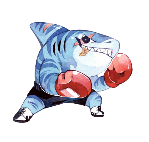 image Porte-clés Kung Fur Fight - BoShark - #3 (requin)